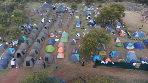 Rows of tents among the trees